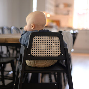 Highchair Rattan